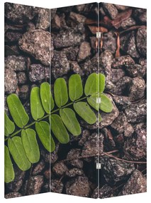 Paraván - Zelená rastlina (126x170 cm)