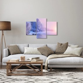 Obraz - Zamrznutá rieka (90x60 cm)