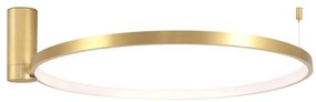 LED Stropné svietidlo NOEMI LED/20W/230V 4000K pr. 50 cm zlatá