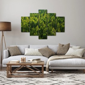Obraz - Hustý les (150x105 cm)