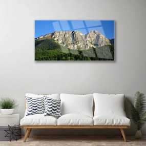 Obraz na skle Hora les príroda 100x50 cm