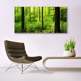 Obraz plexi Les zeleň stromy príroda 120x60 cm