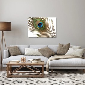 Sklenený obraz pávieho peria (70x50 cm)