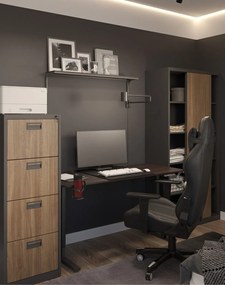 Kartotéková skriňa Sara: antracit-orech, 46x132 cm (1388)