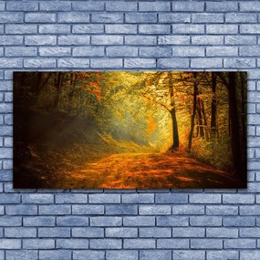 Obraz plexi Les cestička stromy príroda 120x60 cm