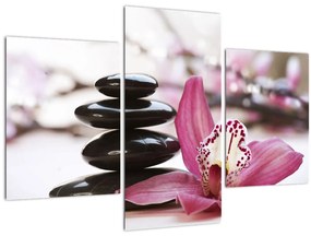Obraz masážnych kameňov a orchidey na vode (90x60 cm)
