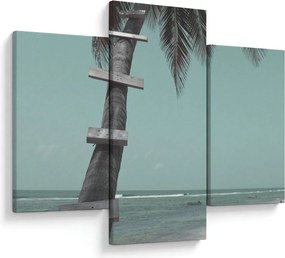 Obraz - Palma v Karibiku (90x60 cm)