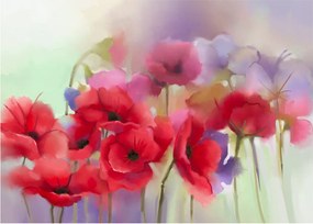 Obraz vlčích makov (70x50 cm)
