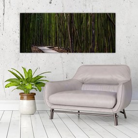 Obraz - Medzi bambusy (120x50 cm)