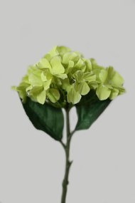 Zelená hortenzia 32cm