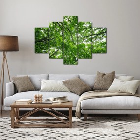 Obraz - Pohľad do korún stromov (150x105 cm)