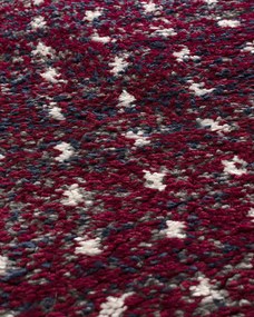 Koberec Royal cherry red/navy 160x230cm