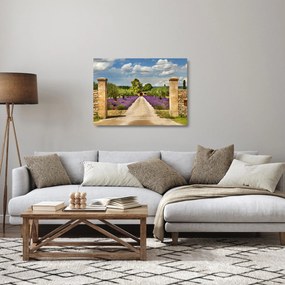 Sklenený obraz - Levanduľové cesty (70x50 cm)