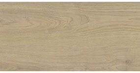 Dlažba imitácia dreva Legno 60 x 30 cm SGR63-1