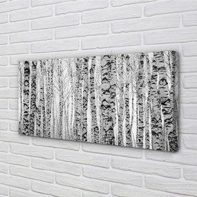 Obraz canvas Čierna a biela breza 140x70 cm