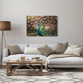 Obraz - Páv (90x60 cm)