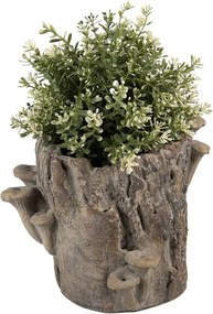 Hnedý cementový kvetináč kmeň stromu s hubami Botanic M - 24*18*18 cm