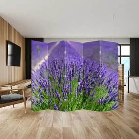 Paraván - Levanduľa (210x170 cm)