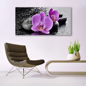 Obraz plexi Orchidea kvety kamene zen 120x60 cm