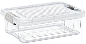 Úložný box Clea, 800 ml, plast