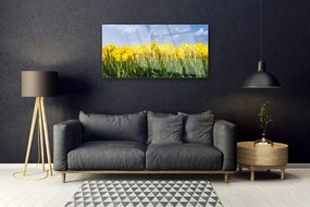 Skleneny obraz Tulipány kvety rastlina 120x60 cm