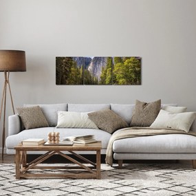 Obraz - Pod Yosemite skalou (s hodinami) (90x30 cm)