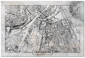 Artgeist Obraz - Copenhagen Plan (1 Part) Wide Veľkosť: 60x40, Verzia: Na talianskom plátne