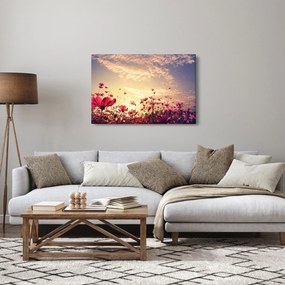 Obraz - Lúka s kvetmi (90x60 cm)