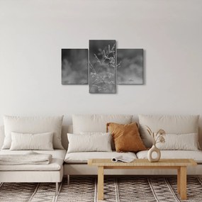 Obraz - Vidiecka lúka (90x60 cm)
