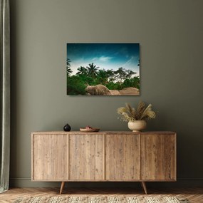 Sklenený obraz - palmy (70x50 cm)