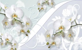Fototapeta - Orchidea (254x184 cm)