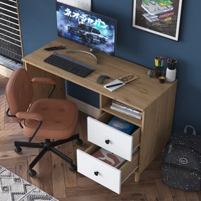 Psací stůl Hanis 120 cm ořech/bílý