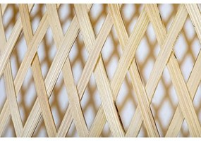 Rabalux 72025 - Luster na lanku RATTAN 1xE27/25W/230V ratan