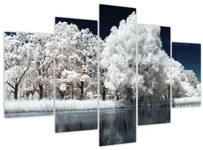Obraz - Snehobiele stromy (150x105 cm)