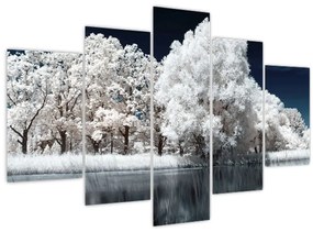 Obraz - Snehobiele stromy (150x105 cm)