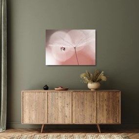 Sklenený obraz - Kvapka rosy (70x50 cm)