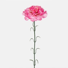 Schetelig Karafiát kusovka 56 cm, Ružová