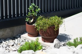 Kvetináč MILLA III - výber z 6 prevedení