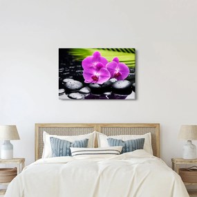 Obraz - Orchidey (90x60 cm)