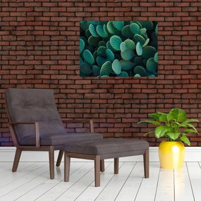 Sklenený obraz - Opuncie (70x50 cm)