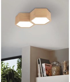 Eglo 98861 - Stropné svietidlo MIRLAS 2xE27/9W/230V