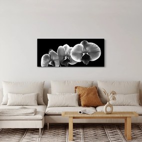 Obraz kvetu orchidey (120x50 cm)