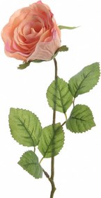 XXXLutz RUŽA 45 cm - Kvety & kvetináče - 003754999744