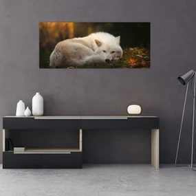 Obraz - Odpočívajúci vlk (120x50 cm)