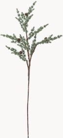 Rastlinná dekorácia Pine