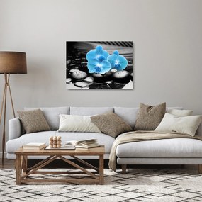 Sklenený obraz - Modrá orchidea (70x50 cm)