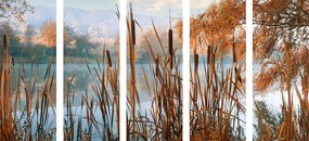 5-dielny obraz rieka uprostred jesennej prírody - 200x100