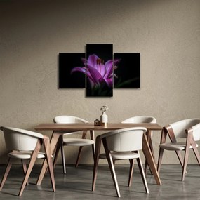 Obraz ľalia (90x60 cm)