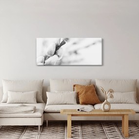 Obraz - Začiatok jari (120x50 cm)