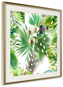 Artgeist Plagát - Tropical Shadow (Square) [Poster] Veľkosť: 20x20, Verzia: Zlatý rám s passe-partout